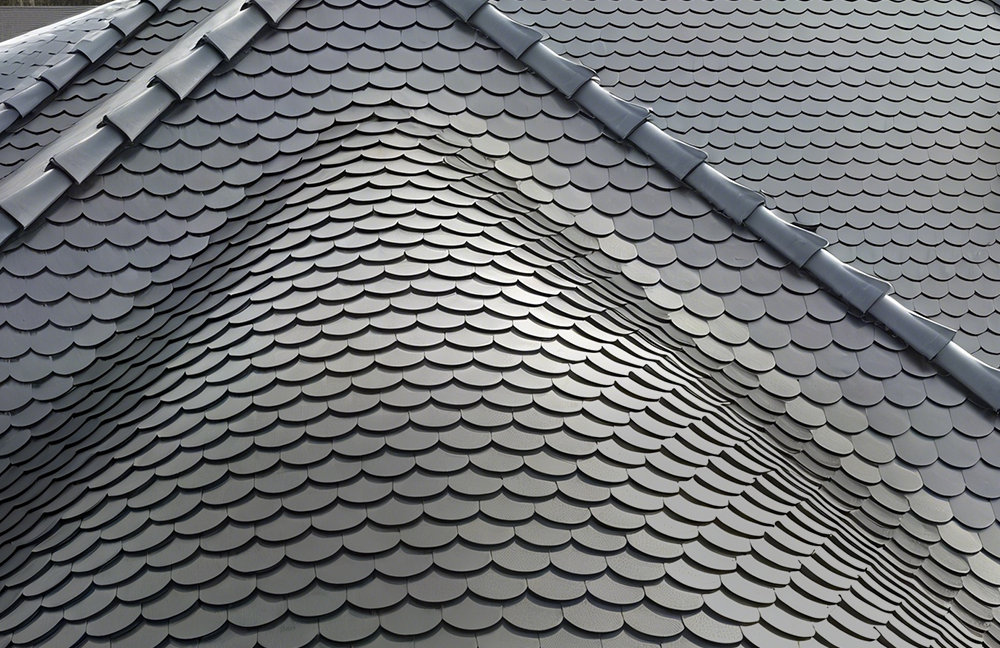 Díon Miotail Seam Seasta vs Shingles: Costas, Réimse Saoil, agus Cén Díon le Roghnú?